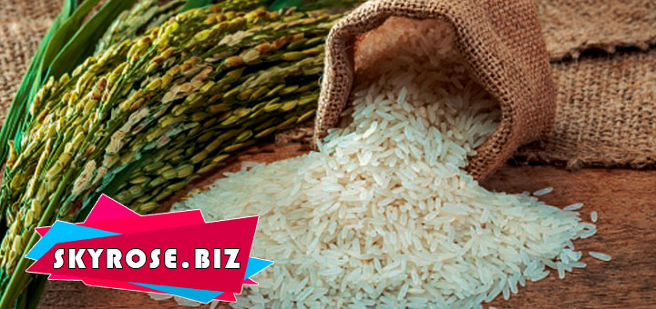 خرید برنج ایرانی در ایلام