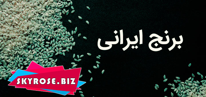 قیمت خرید برنج ایرانی در قم
