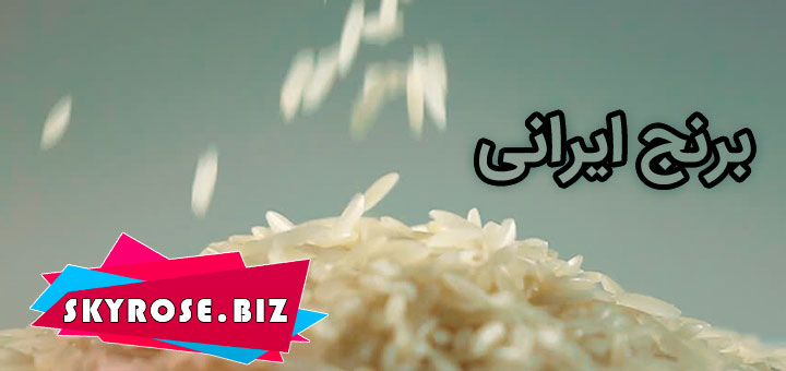قیمت خرید برنج ایرانی در رشت